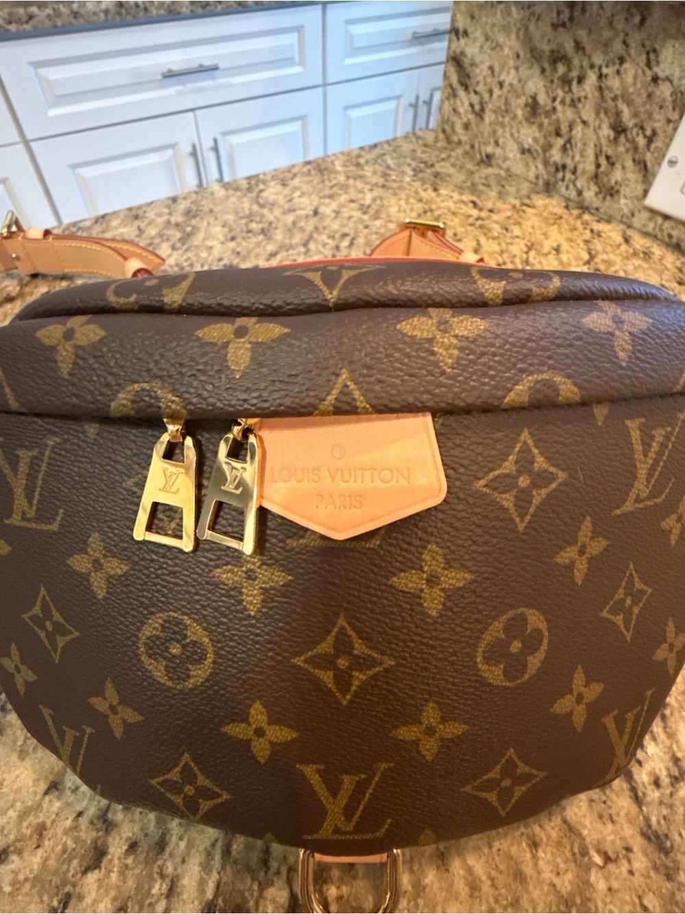 Louis Vuitton Brown Monogram Canvas Crossbody Belt Bag with Gold Hardware